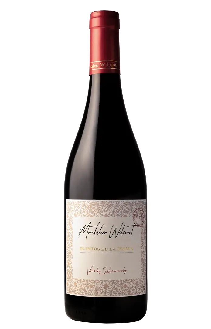 MW Quintos de la Tejera