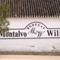 Los Cerrillos en Variotinto, programa de TV CMM
